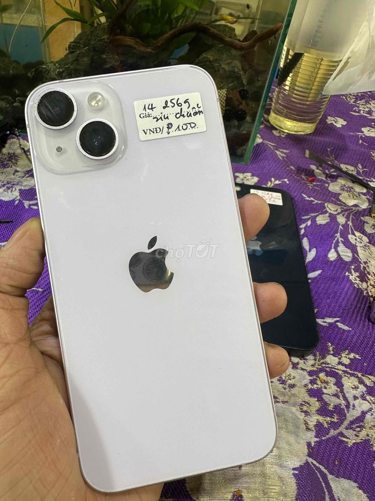 Apple iPhone 14 256GB Tím nhạt Đã sử dụng. Mua bán Điện thoại tại Quận Tân Phú Tp Hồ Chí Minh được đăng bởi gia phát hình 1