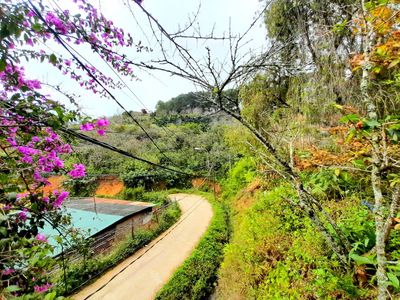 Bán đất sát rừng thông view cao đẹp toàn cảnh đi Hồ Xuân Hương hơn 2km
