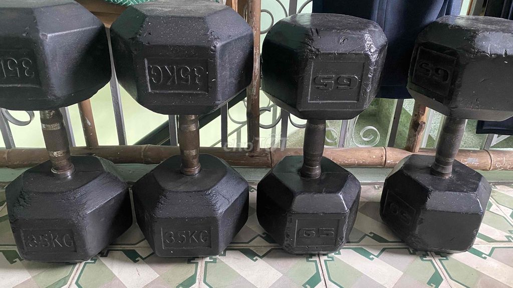 Tạ tay 30kg, 35kg
