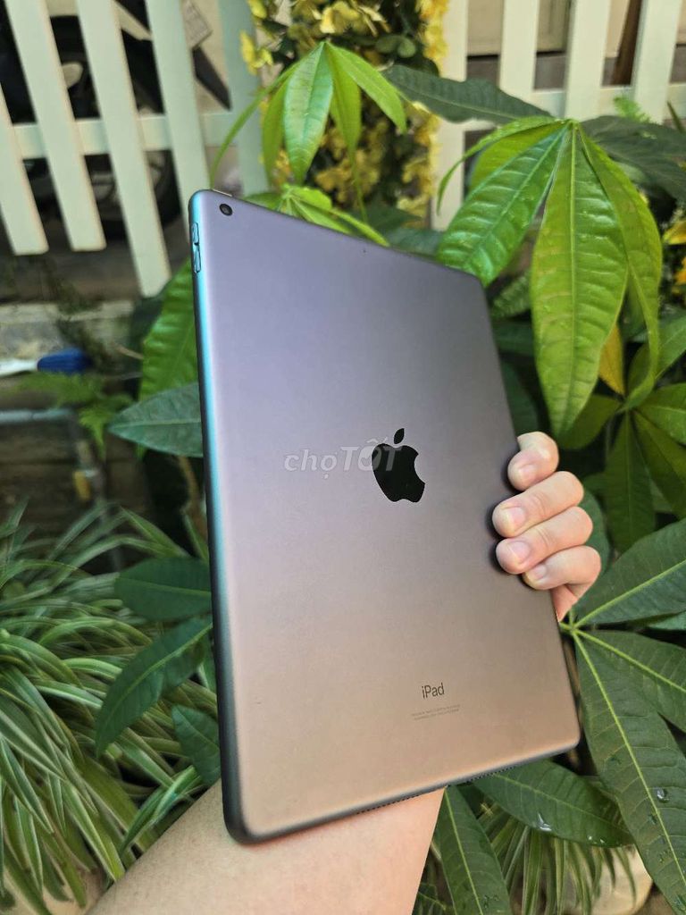 Apple iPad Air Gen 9 64GB Xám Như mới. Mua bán Máy tính bảng tại Thành phố Đà Lạt Lâm Đồng được đăng bởi Minh Hoàng hình 1