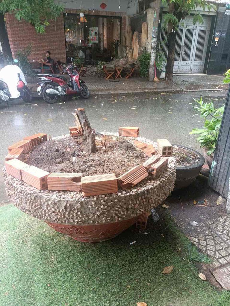 Chậu cây đá nhỏ 60cm. Mua bán Cây cảnh, đồ trang trí tại Quận Tân Phú Tp Hồ Chí Minh được đăng bởi a Bảy hình 1