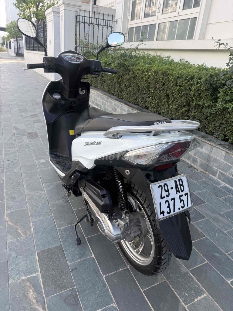 SYM Shark 50 куб. см 2023 Белая