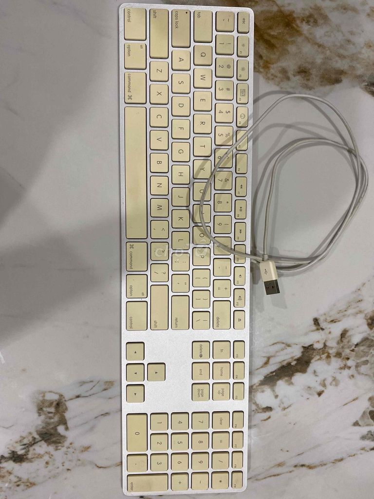 bàn phím apple. Mua bán Phụ kiện (Màn hình, Chuột...) tại Quận 7 Tp Hồ Chí Minh được đăng bởi nguyen thanh tuan hình 1