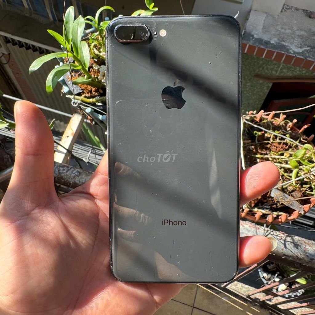 iPhone 8plus 64gb zin/full và sạch Pin new