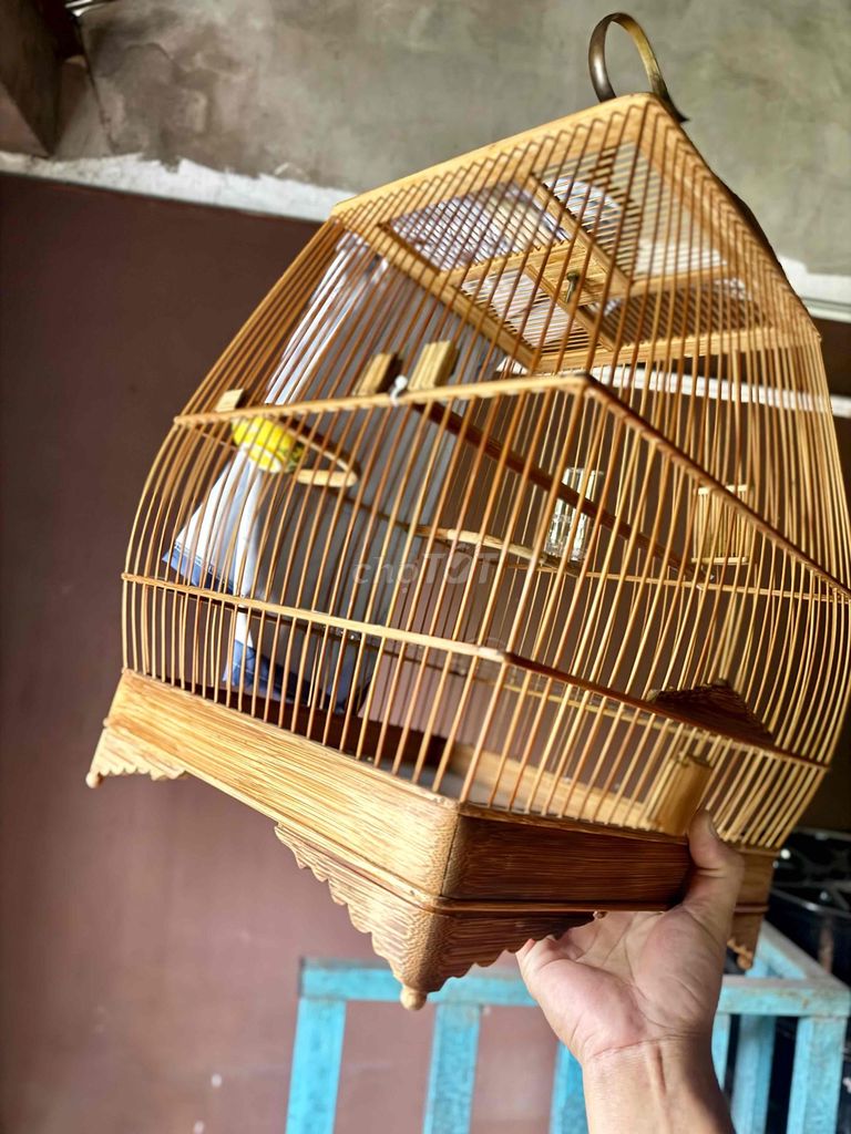 Lồng chim tre màu vàng gỗ. Mua bán Phụ kiện, Thức ăn, Dịch vụ tại Huyện Hóc Môn Tp Hồ Chí Minh được đăng bởi Võ Phương Phước Thành hình 1