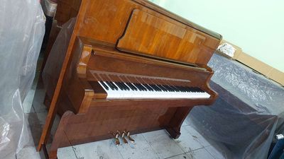 Khủng long vip BL-71nâu âm bén lắm. Mua bán Nhạc cụ tại Quận 12 Tp Hồ Chí Minh được đăng bởi Nguyễn Vinh chuyên nội địa Nhật