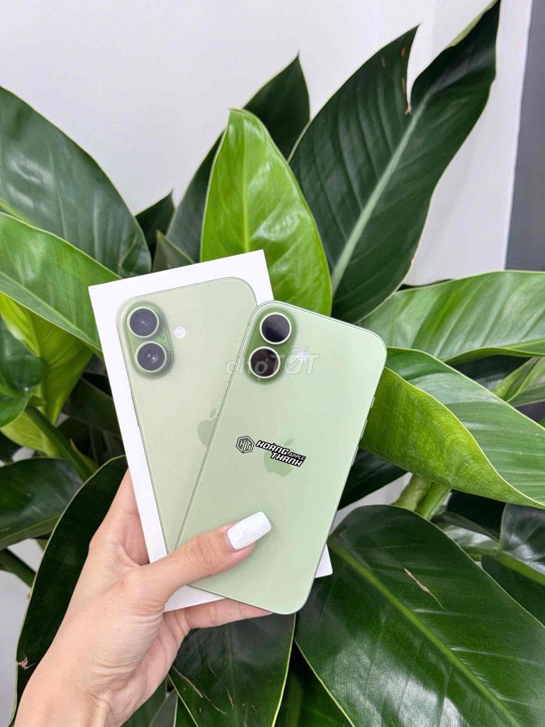 iPhone 17 256GB Xanh Bơ - 5 lần sạc Fullbox. Mua bán Điện thoại tại Thành phố Mỹ Tho Tiền Giang được đăng bởi Hoàng Thành Apple hình 1
