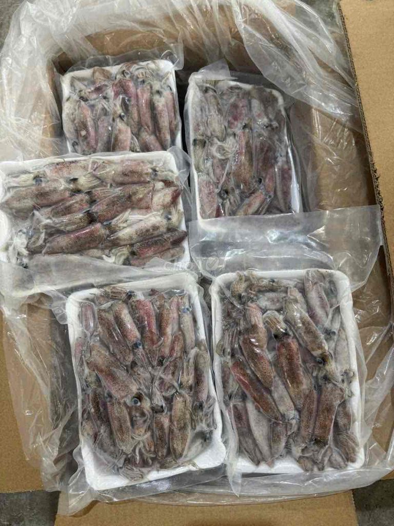 Mực tép nháy tươi ngon. Mua bán Đồ ăn, thực phẩm và các loại khác tại Quận Hải Châu Đà Nẵng được đăng bởi Ms Phương hình 1