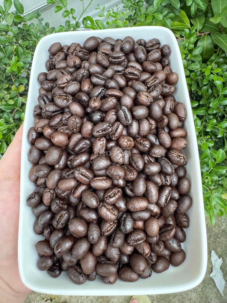 SỈ 20KG Cà phê CULI rang mộc Daklak. Mua bán Đồ ăn, thực phẩm và các loại khác tại Huyện Hóc Môn Tp Hồ Chí Minh được đăng bởi Nguyễn Tài Trung hình 1