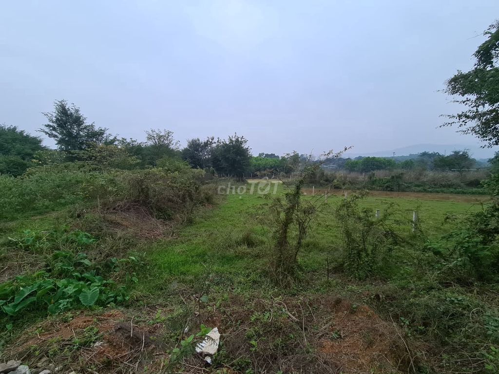 Đất Vườn Gần Bệnh Viện Đa Khoa Nhơn Trạch Bán Gấp. Mua bán đất tại Huyện Nhơn Trạch Đồng Nai được đăng bởi Phát Đất Xanh Group hình 1