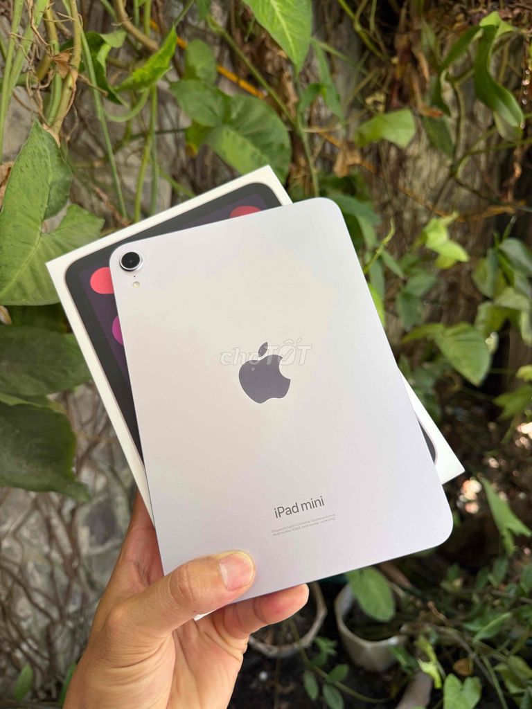 iPad Mini 7 Wifi 128GB Chính Hãng Còn BH Mới 99%. Mua bán Máy tính bảng tại Quận Sơn Trà Đà Nẵng được đăng bởi Anh Apple Chính Hãng hình 1