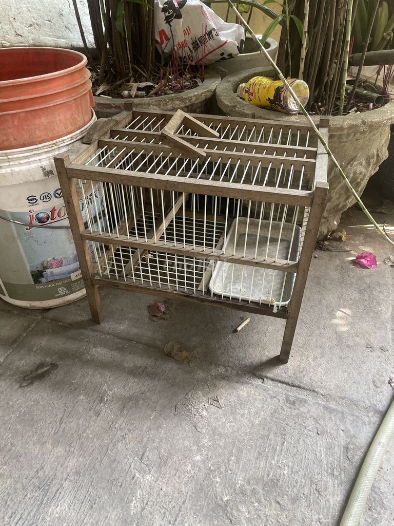 Lồng tắm chim gỗ đã sử dụng. Mua bán Phụ kiện, Thức ăn, Dịch vụ tại Quận Liên Chiểu Đà Nẵng được đăng bởi le su  hình 1