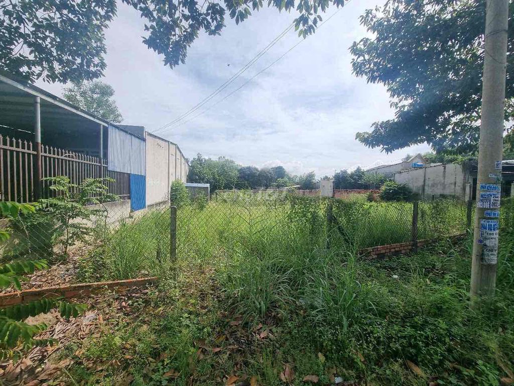 CHO THUÊ ĐẤT 1770M² PHÙ HỢP LÀM KHO BÃI/XƯỞNG – PHÚ MỸ. Cho thuê Đất tại Thị xã Phú Mỹ Bà Rịa - Vũng Tàu được đăng bởi  Phượng Mai hình 5