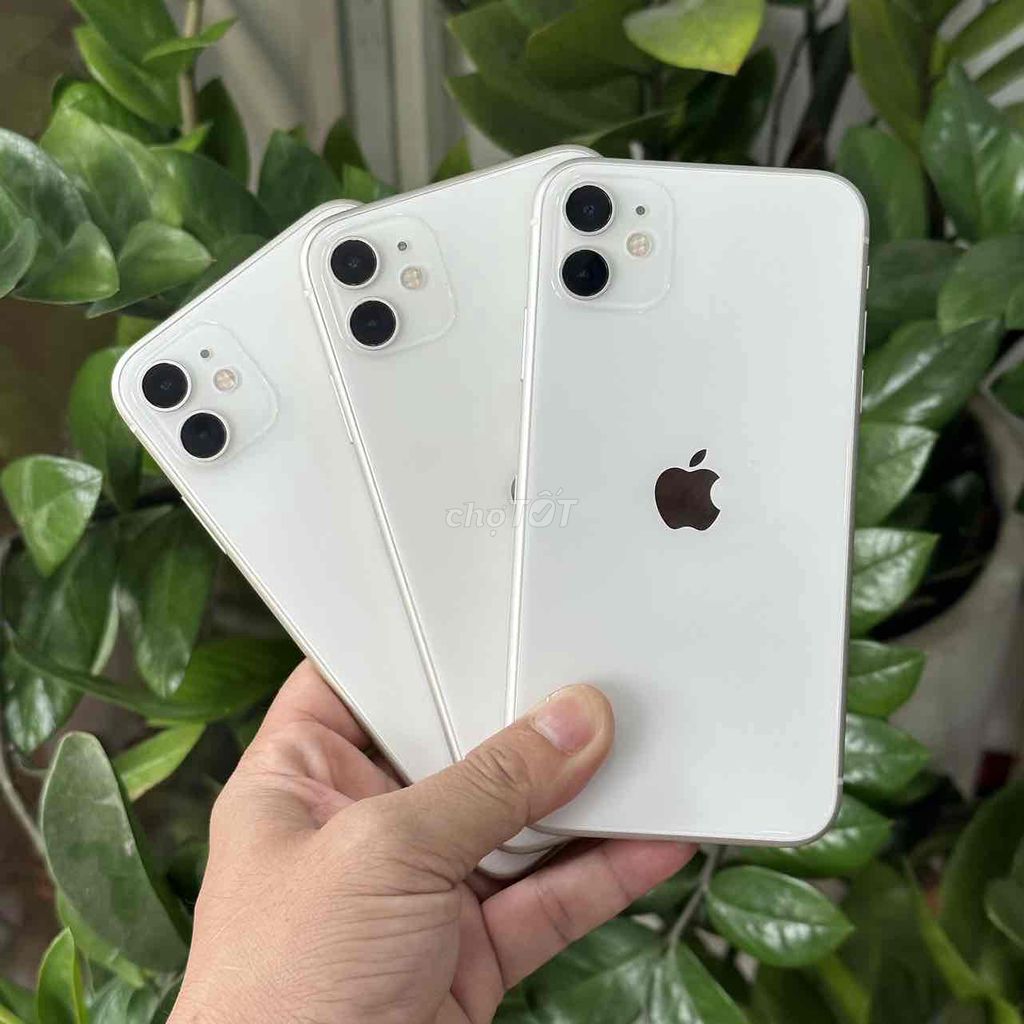 iPhone 11 Quốc Tế - Trả Góp Online chỉ cẩn CCCD