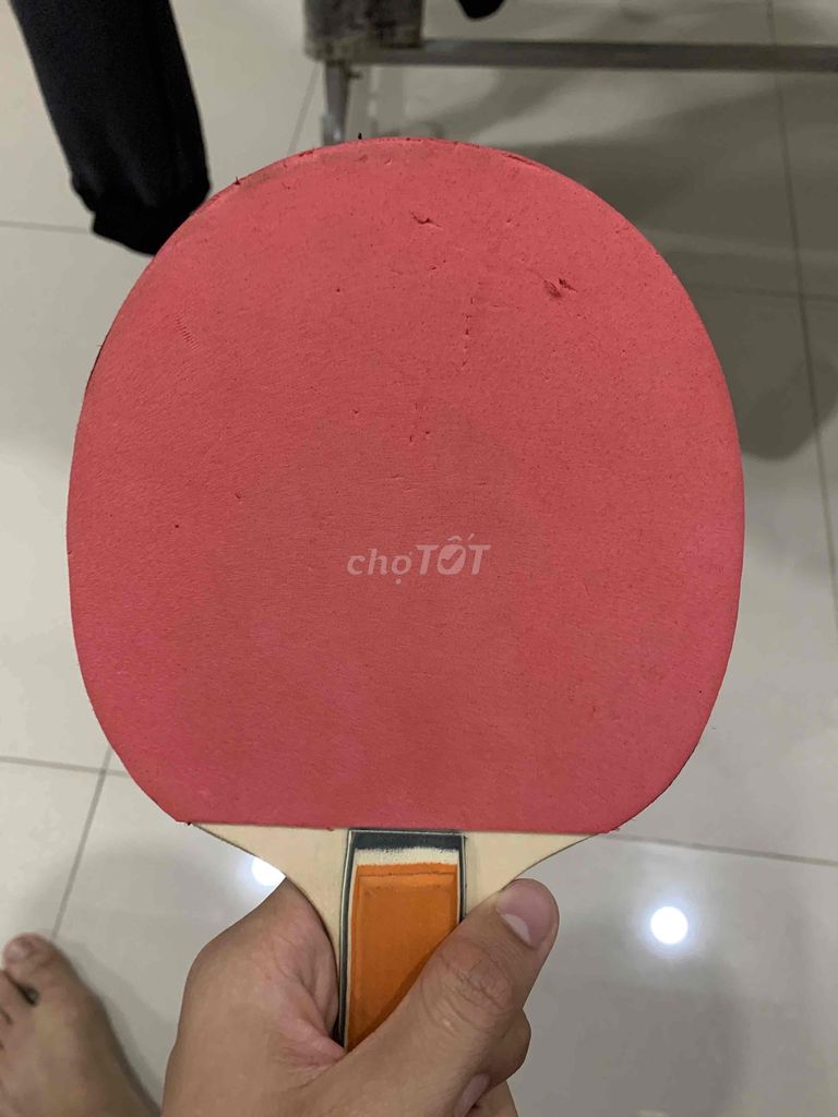 pass vợt bóng bàn giá rẻ. Mua bán Đồ thể thao, Dã ngoại tại Thành phố Pleiku Gia Lai được đăng bởi Quang Minh hình 1