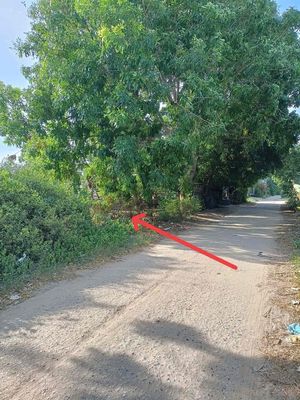Cần bán 2 lô liền kề đất thổ cư Ninh Phước - Ninh Thuận. Mua bán đất tại Huyện Ninh Phước Ninh Thuận được đăng bởi Khánh Vân Trần