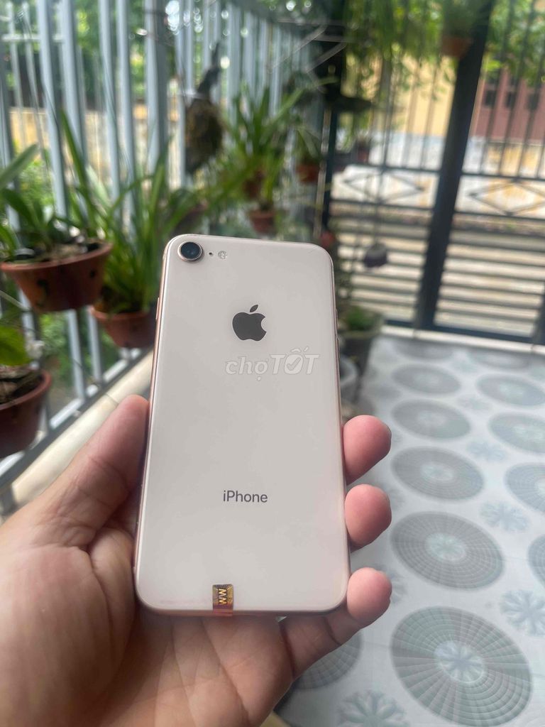 Apple iPhone 8G 64GB Vàng hồng Like New. Mua bán Điện thoại tại Huyện Tiền Hải Thái Bình được đăng bởi Hồ Thị hình 1