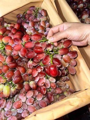 13 prm vna 256 gb. Mua bán Điện thoại tại Huyện Hòa Vang Đà Nẵng được đăng bởi Linh