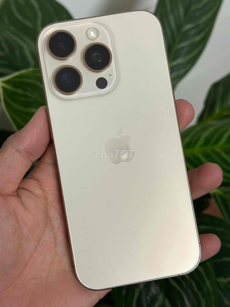16 Pro 256GB Vàng lóc eid cần bán hoặc gl. Mua bán Điện thoại tại Thành phố Đà Lạt Lâm Đồng được đăng bởi nhanh gọn lẹ hình 1