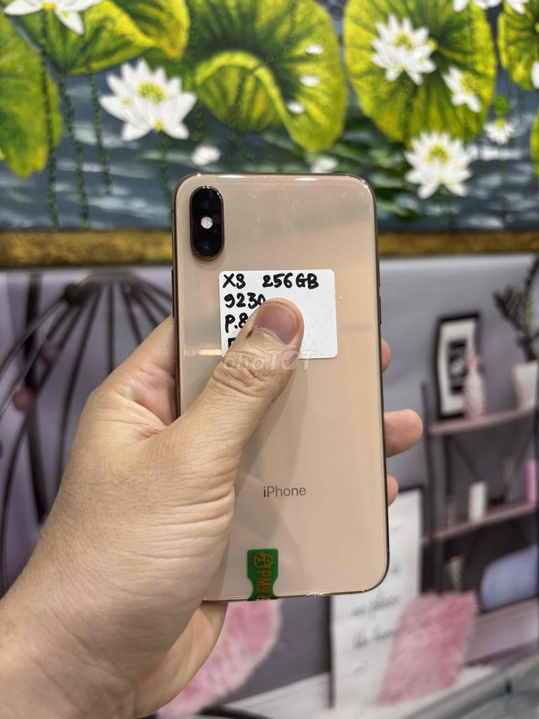 Apple iPhone Xs 256GB Vàng. Mua bán Điện thoại tại Quận Bắc Từ Liêm Hà Nội được đăng bởi Cửa hàng Bính Táo hình 1