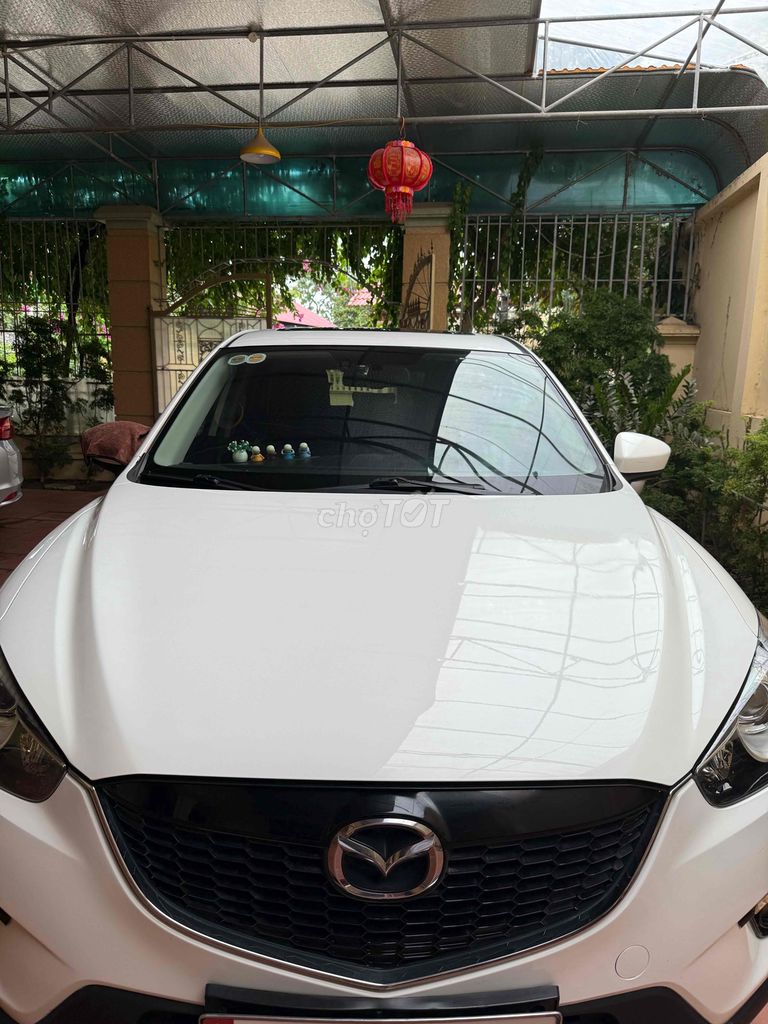 Ảnh số 2