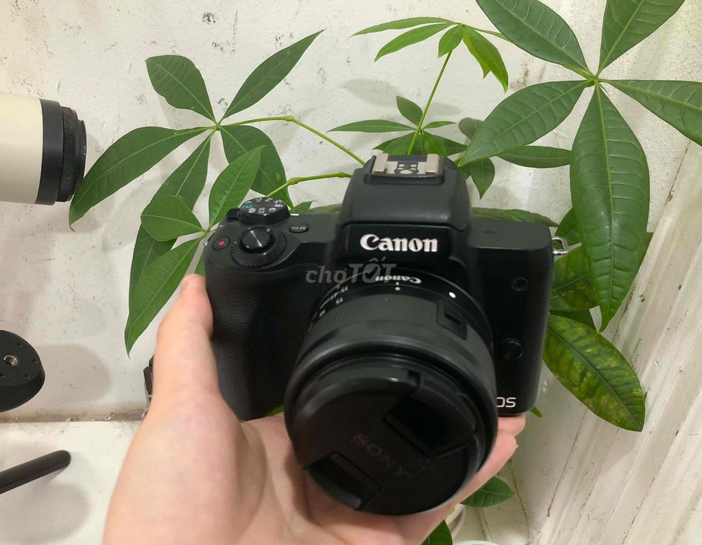 canon M50ii kèm kit