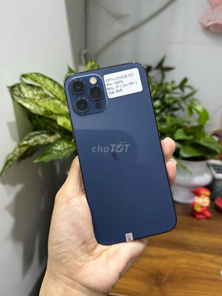 iPhone 12 Pro 256G Quôca tế Xanh Blue P100 Đẹp 98. Mua bán Điện thoại tại Huyện Hóc Môn Tp Hồ Chí Minh được đăng bởi Thu hình 1