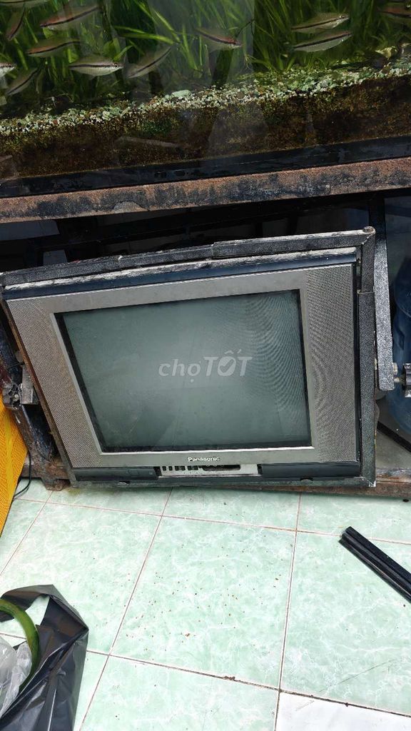 Tivi Panasonic đã sử dụng. Mua bán Tivi, Âm thanh tại Quận Tân Phú Tp Hồ Chí Minh được đăng bởi Hồ Viết Tình hình 1