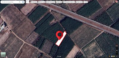 Bán Đất trồng cây lâu năm hơn 2000m2 ngay trung trâm của Nhơn Trạch. Mua bán đất tại Quận Phú Nhuận Tp Hồ Chí Minh được đăng bởi Nguyễn Trang