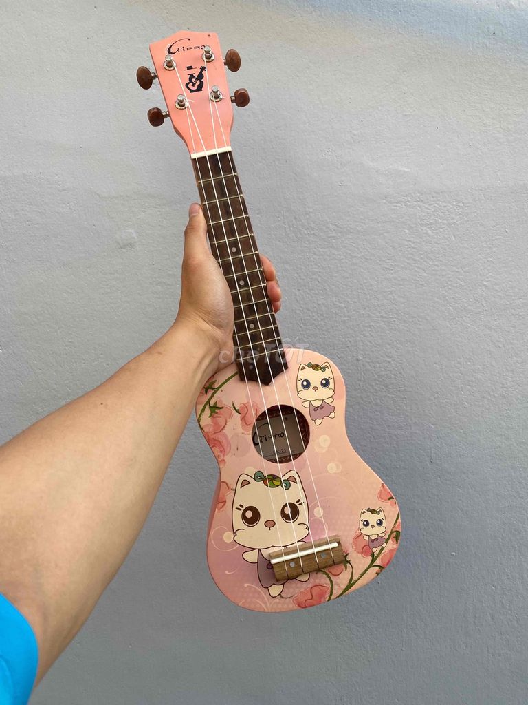 Thanh lý Ukulele chưa dùng còn mới