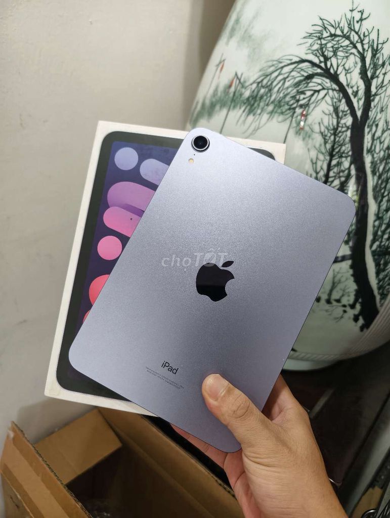 Ipad Mini 6 64gb Wifi Fullbox. Mua bán Máy tính bảng tại Quận Đống Đa Hà Nội được đăng bởi Dang  hình 1