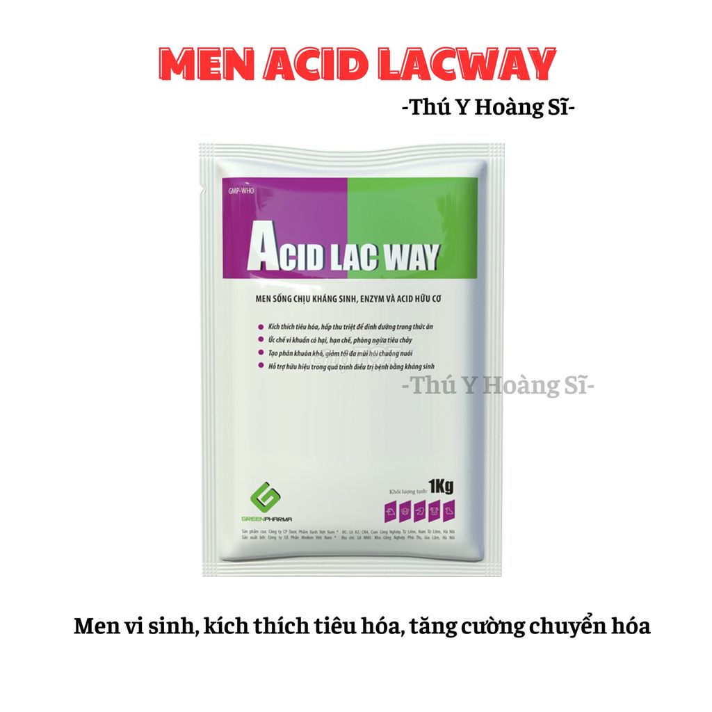 Acid lac way Bổ sung men vi sinh dùng trong thú y