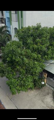 Room 25 m² · Đường Lê Tấn Bê