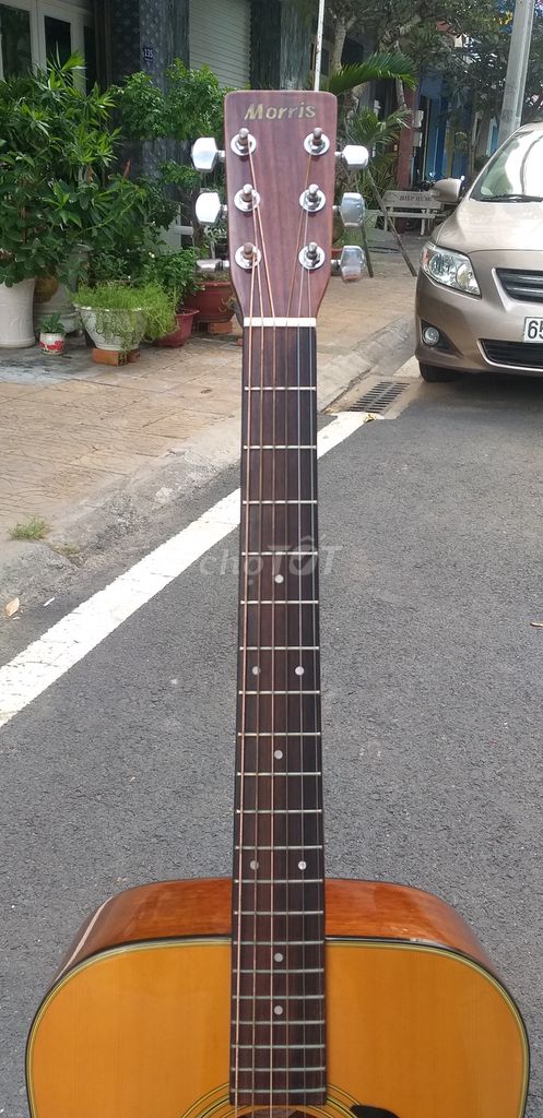 0794376789 - Guitar Morris MD502