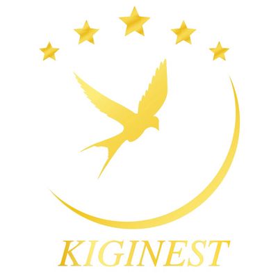 CÔNG TY TNHH SX - TM - XNK KIGINEST logo