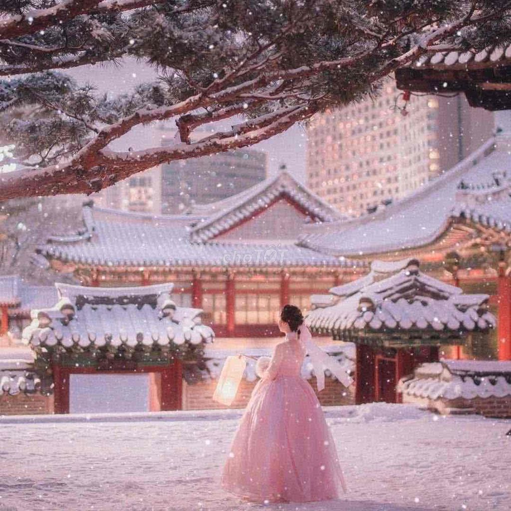 Tour Hàn Quốc mùa đông. Du lịch tại Quận Tân Bình Tp Hồ Chí Minh được đăng bởi Lê Hòa hình 1