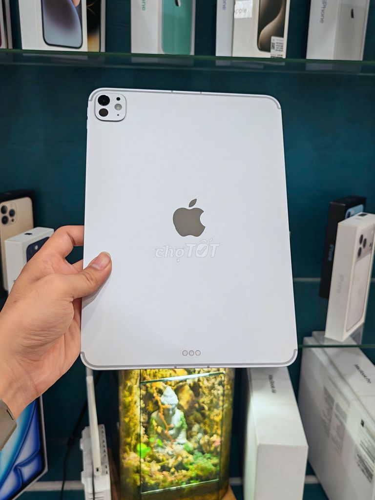 iPad Pro M5 11" 256GB 5G Pin 100 Đẹp Keng BH 11/26. Mua bán Máy tính bảng tại Quận Phú Nhuận Tp Hồ Chí Minh được đăng bởi TYMO Việt Nam hình 1
