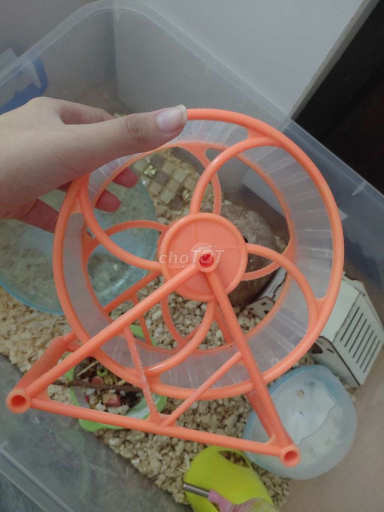 Bánh xe chạy Hamster Cam Vừa. Mua bán Phụ kiện, Thức ăn, Dịch vụ tại Quận 10 Tp Hồ Chí Minh được đăng bởi Kim Duyen hình 1