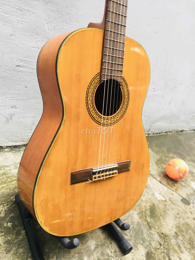 guitar Nhật rẻ