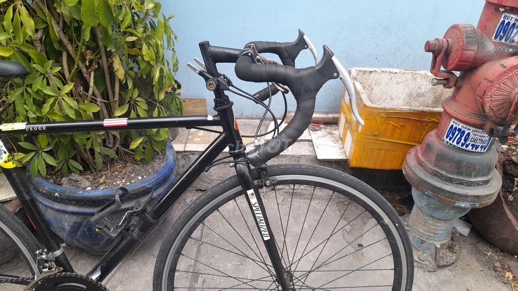 XE ĐUA +TOURING MỸ SPECIALIZED. GROUP SHIMANO/2020