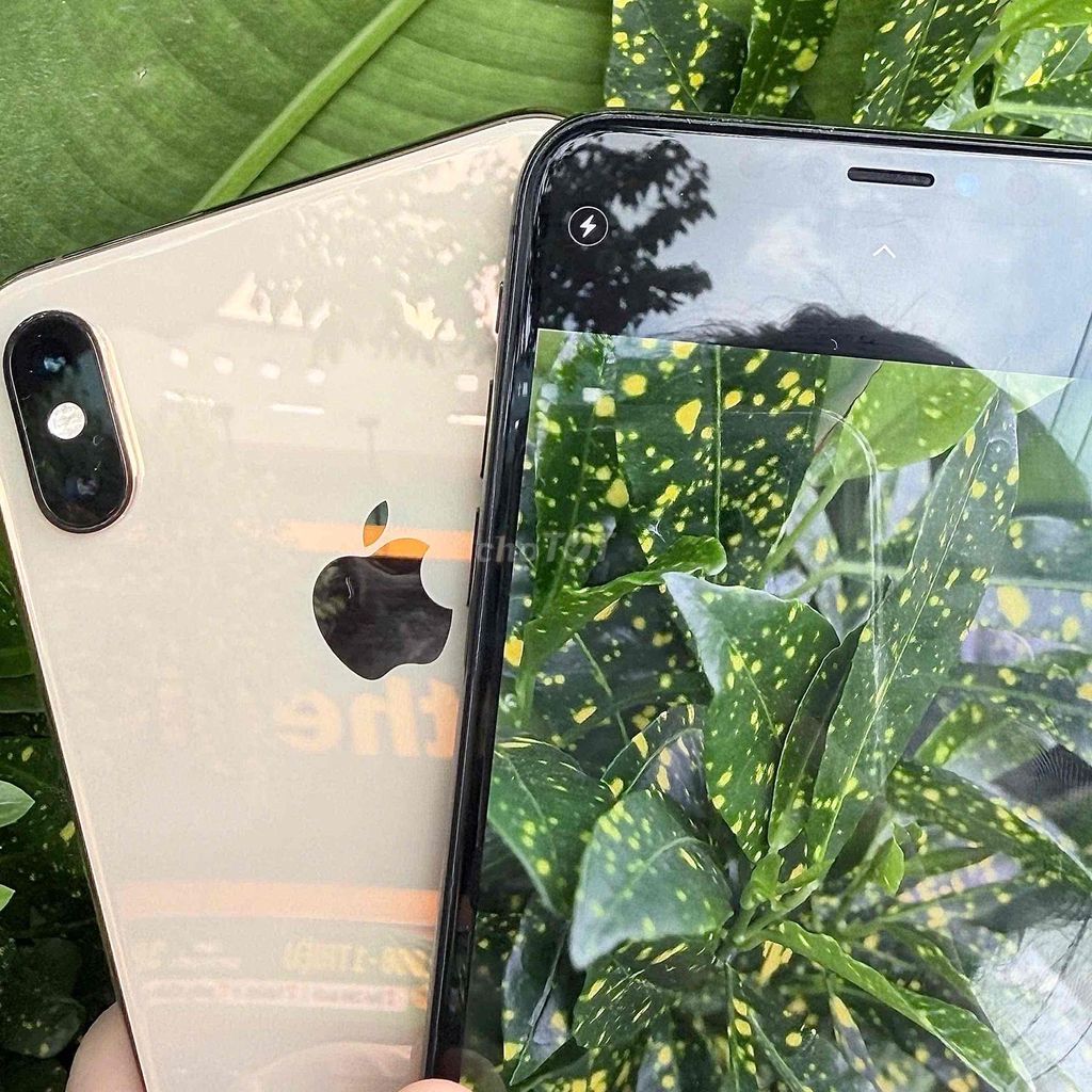 Apple iPhone XS Max Vàng đồng, Xám. Mua bán Điện thoại tại Thị xã Bến Cát Bình Dương được đăng bởi Tranvan Linh hình 1