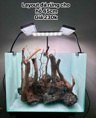 Layout hồ cá bể cá. Mua bán Phụ kiện, Thức ăn, Dịch vụ tại Quận Bình Tân Tp Hồ Chí Minh được đăng bởi phụng nhi