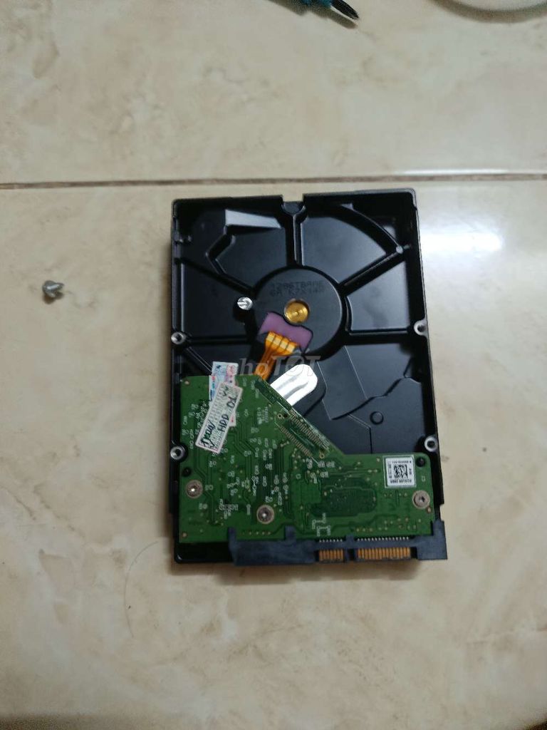 Ổ cứng HDD WD WD500AZLX 500GB. Mua bán Linh kiện (RAM, Card...) tại Quận 5 Tp Hồ Chí Minh được đăng bởi do quang khang hình 1