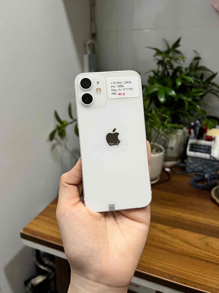 iPhone 12 Mini 128GB Trắng 99 pin new zin đẹp. Mua bán Điện thoại tại Huyện Hóc Môn Tp Hồ Chí Minh được đăng bởi SIRI STORE HCM hình 1