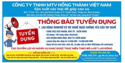 Công ty TNHH MTV Hồng Thành Việt Nam