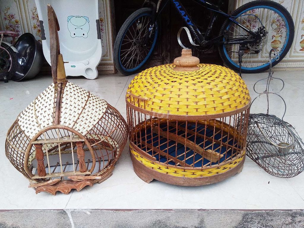 cần thanh lí lồng gáy hoặcó gl gáy. Mua bán Chim tại Quận Hà Đông Hà Nội được đăng bởi hồ kiên hình 1