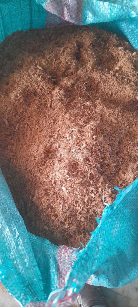 Xơ dừa ươm cây. Mua bán Cây cảnh, đồ trang trí tại Huyện Châu Thành Sóc Trăng được đăng bởi NHAKINHDOANH hình 1