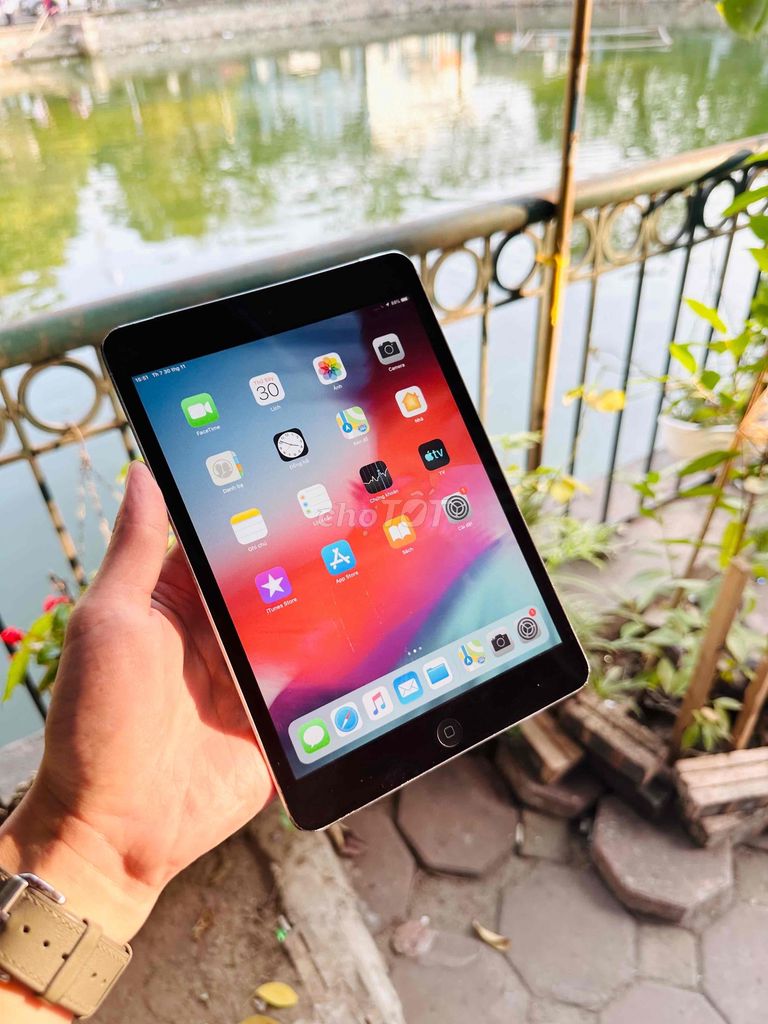 Ipad mini2 bản 4G wifi