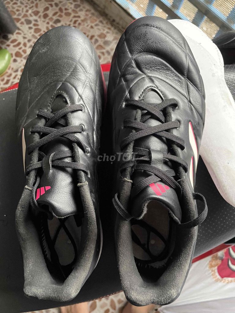 Giày đá bóng Adidas Copa Pure.3 Nam Da Size 42.5