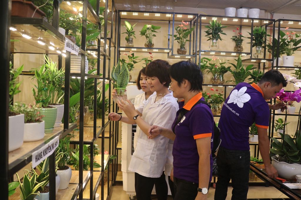 /viec-lam-quan-cau-giay-ha-noi/124560162.htm#px=SR-special_display_ad-[PO-16][PL-default]?i=3